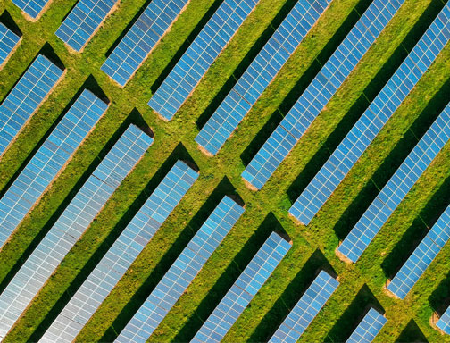 IEA urges countries to speed up deployment of renewable energy